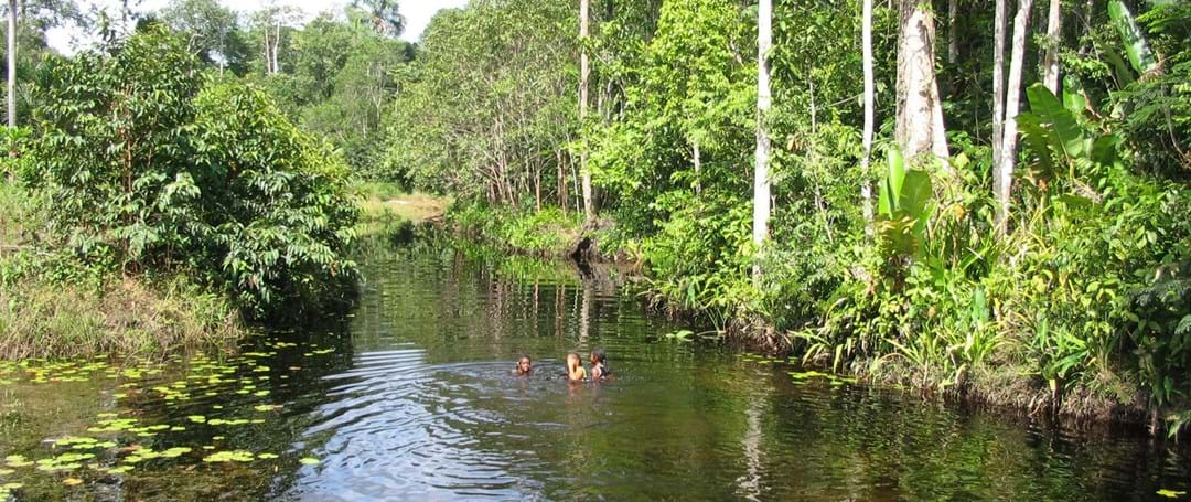 Vervolgstudie of onderzoek doen in Suriname met een VSBfonds Beurs