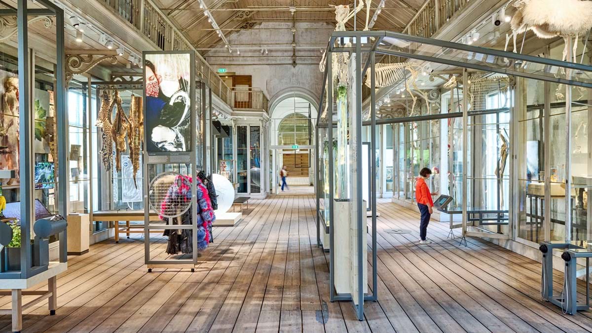 Gratis naar Artis Groote Museum